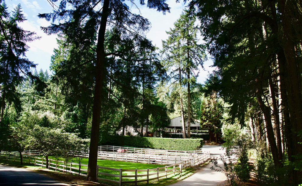 Explore the Barn Parkside Stables