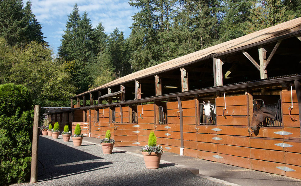 Our History Parkside Stables