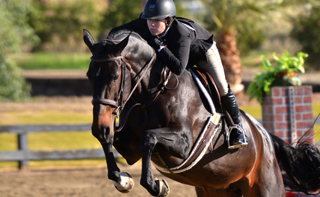 Our History Parkside Stables