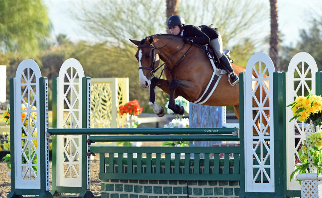 Our History Parkside Stables